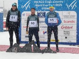 循序渐进的 循序渐进的