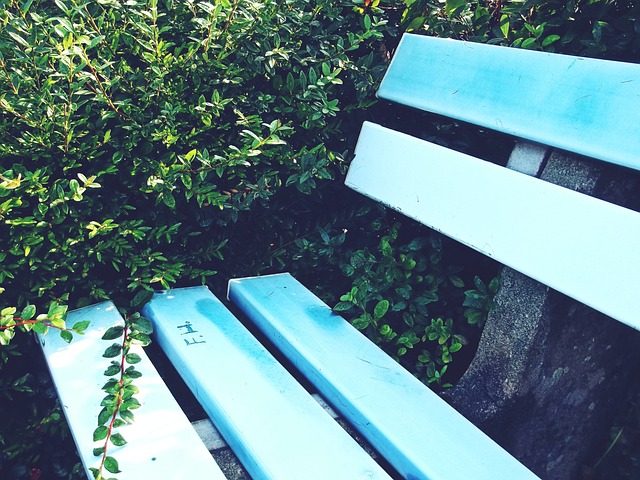 作家们不断 作家们不断